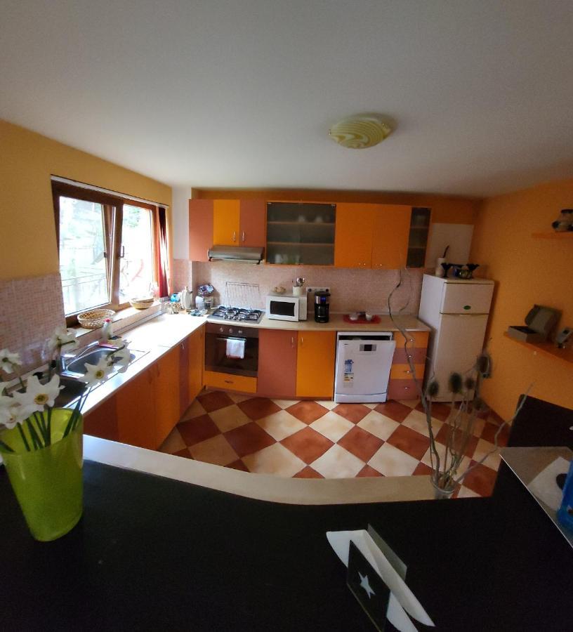Pension Norbert Sighisoara Bagian luar foto