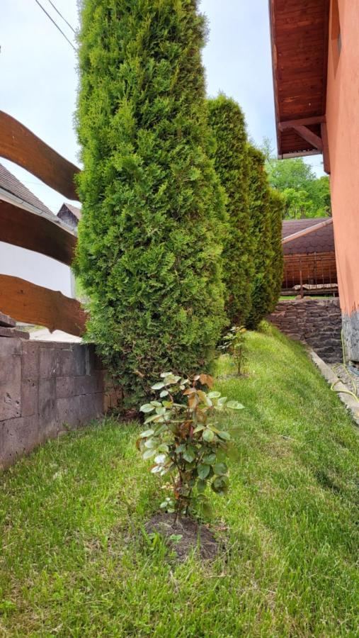 Pension Norbert Sighisoara Bagian luar foto