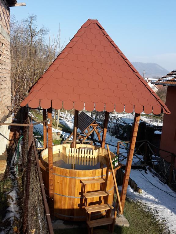 Pension Norbert Sighisoara Bagian luar foto
